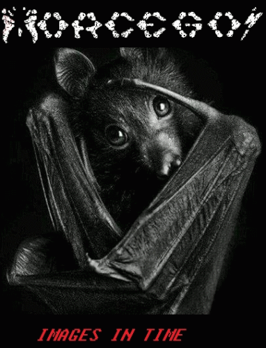 Morcegos : Images in Time